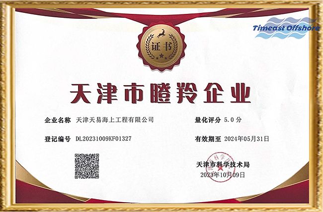 喜報丨91视频网站入口海工榮（róng）獲“天津市創新型（xíng）中小企業”和“天（tiān）津市瞪羚企業”雙重認定